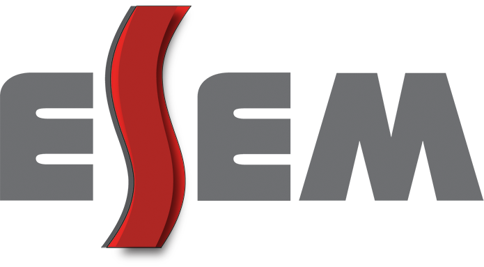 ESEM Services Design